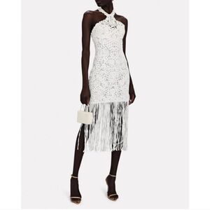 Jonathan Simkhai Alisa Fringe Mini Dress